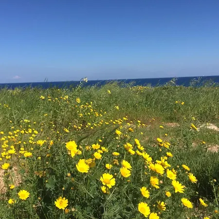 Artisan First Line Seafront * Protaras